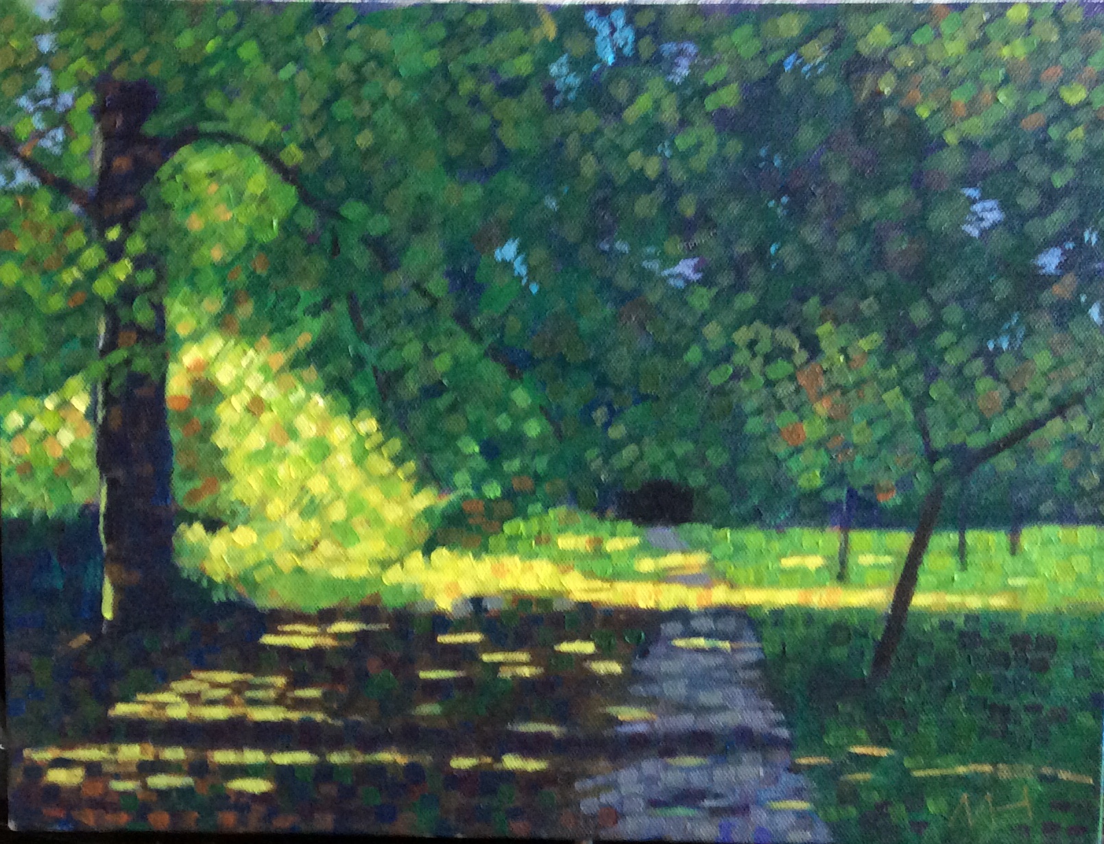 Morning Sunlight