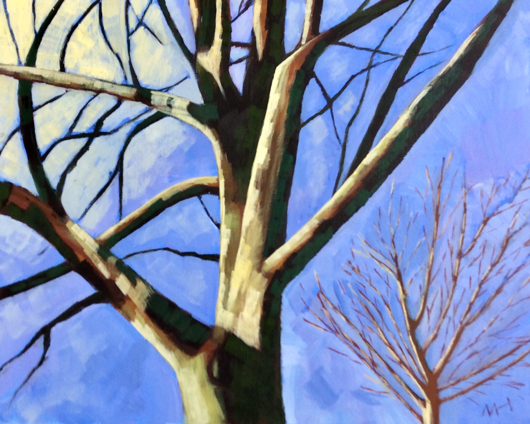 Tree and sky