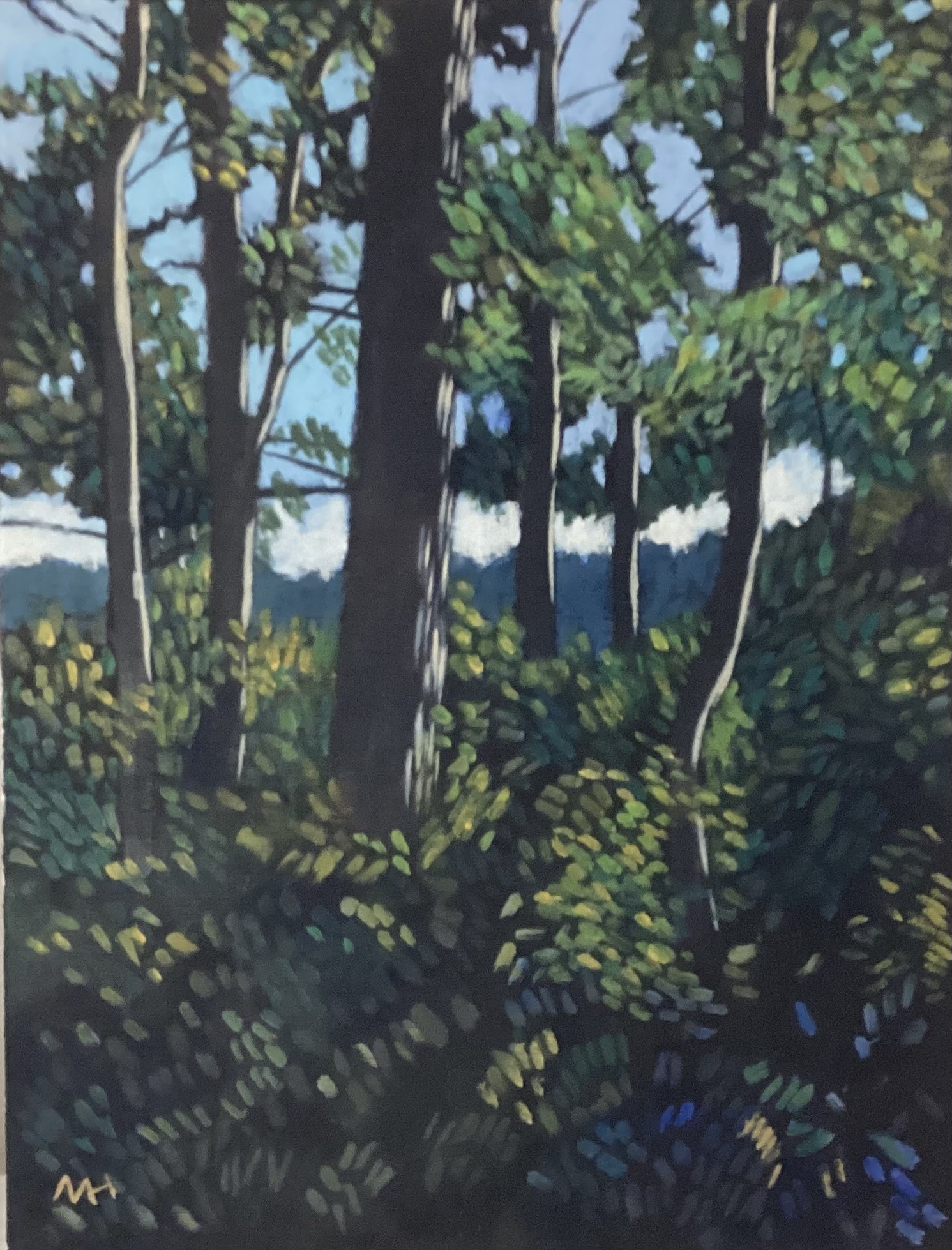 Trees in leaf