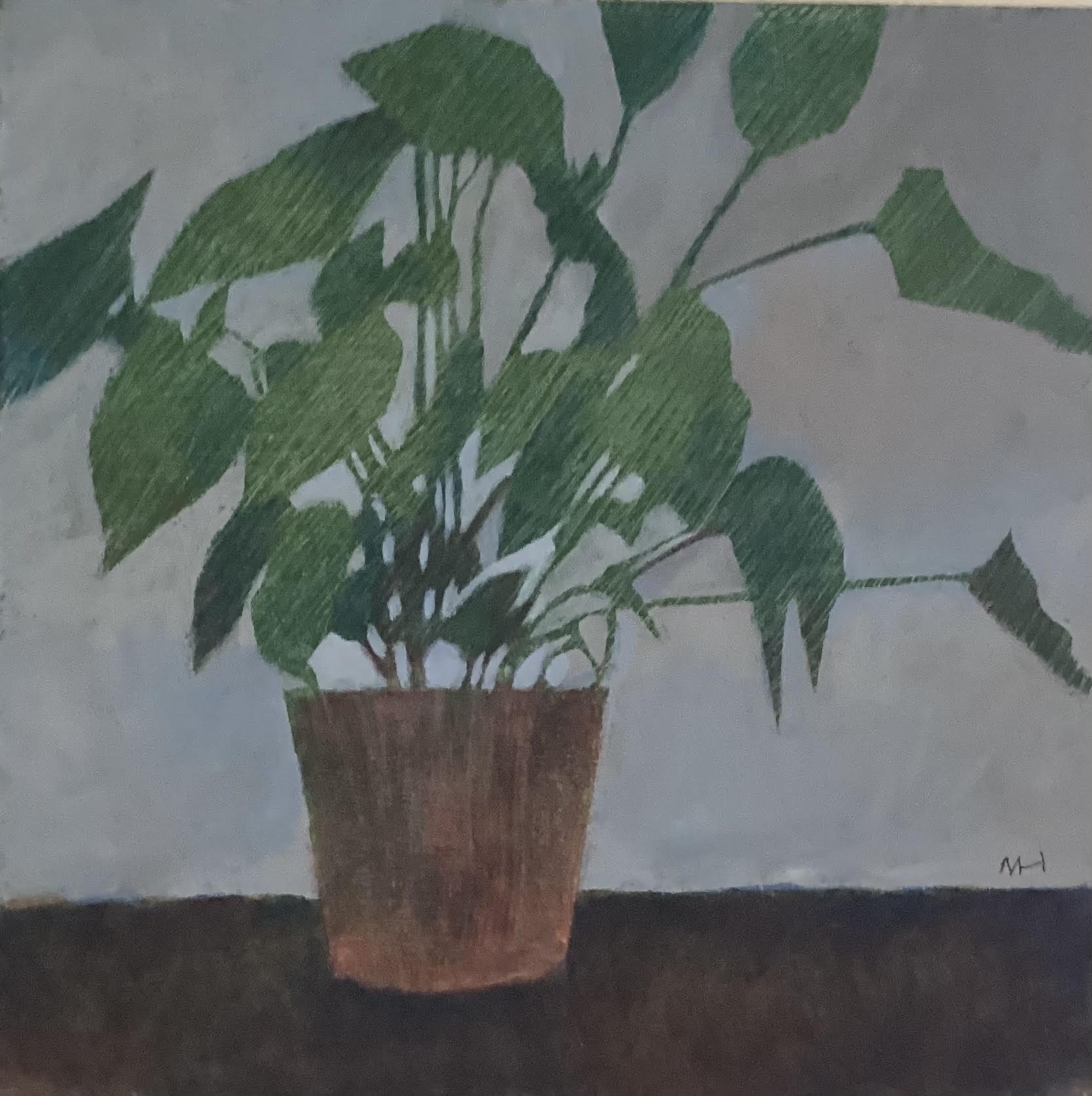 Potted plant 2