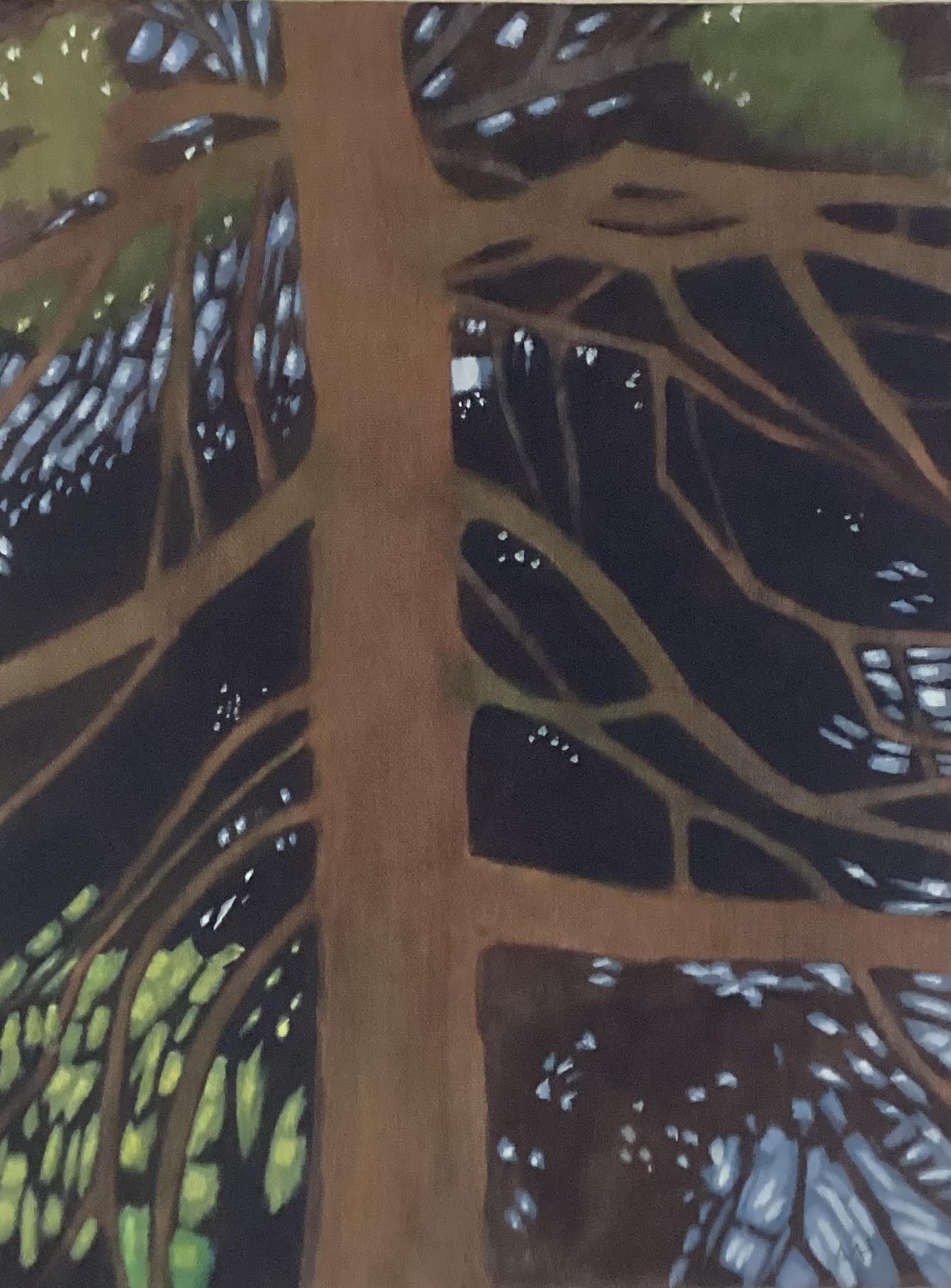 trunk and branches