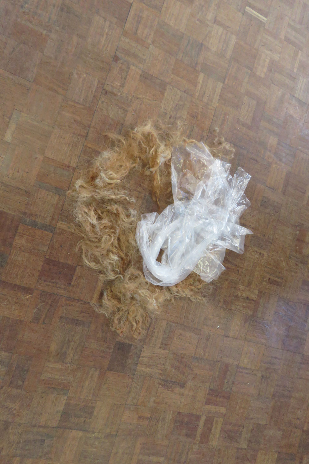 Hair on floor