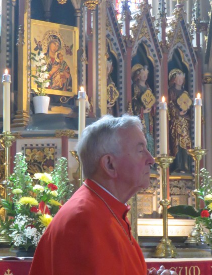 CardinalNichols