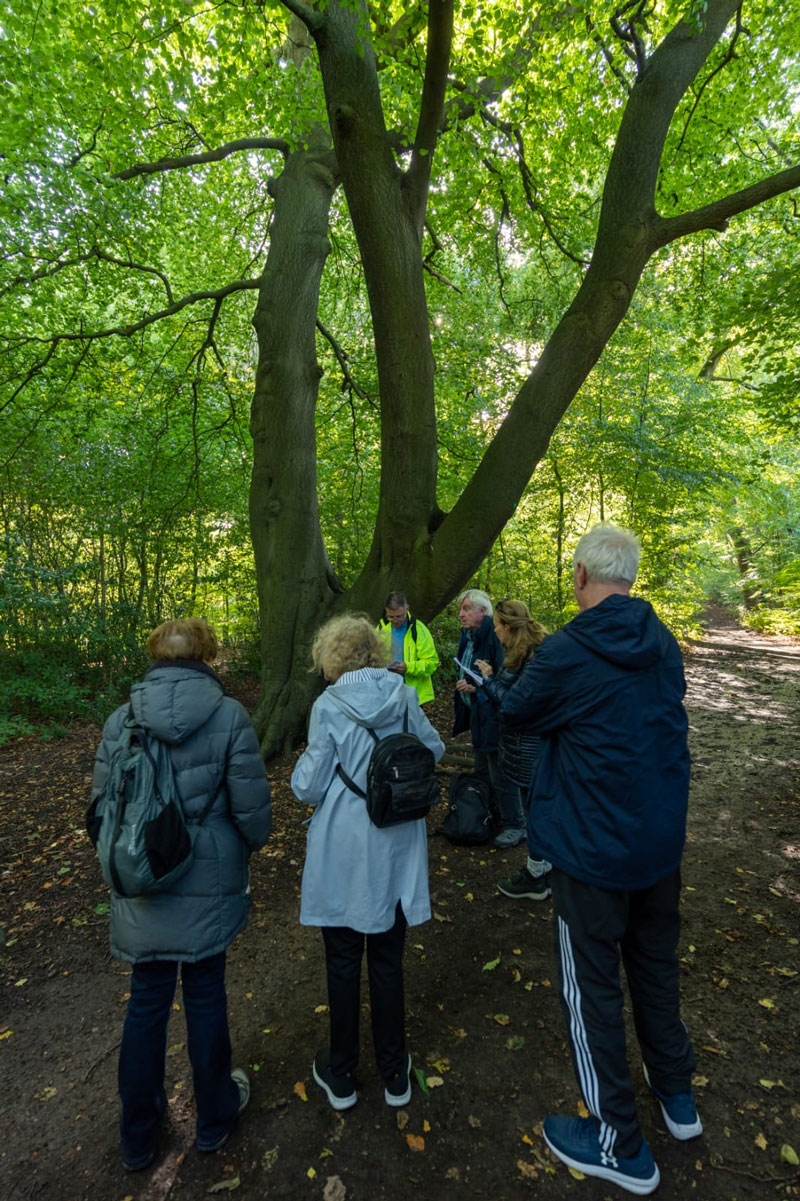 creationwalk12