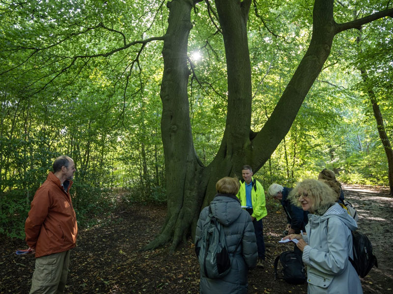 creationwalk14
