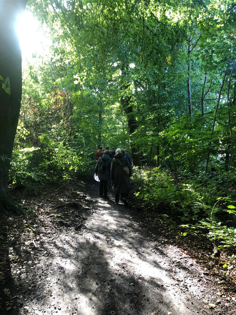creationwalk17
