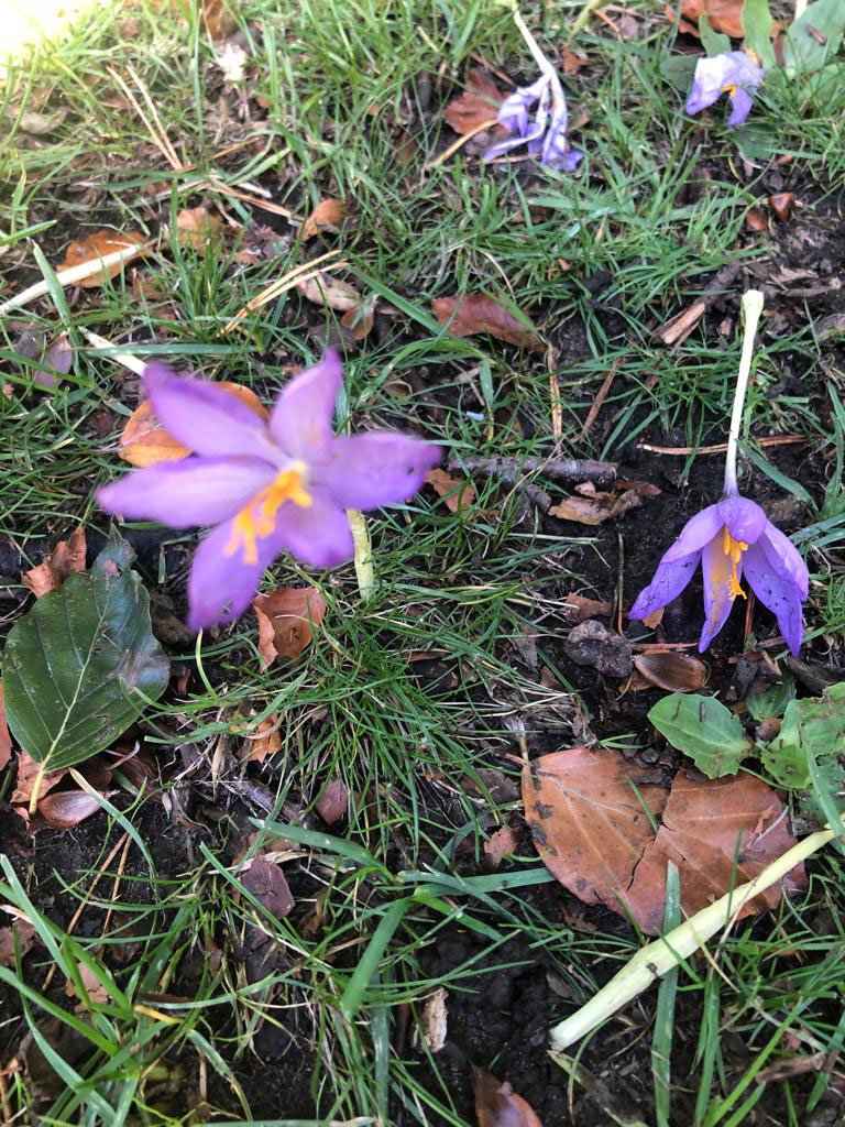 creationwalk20