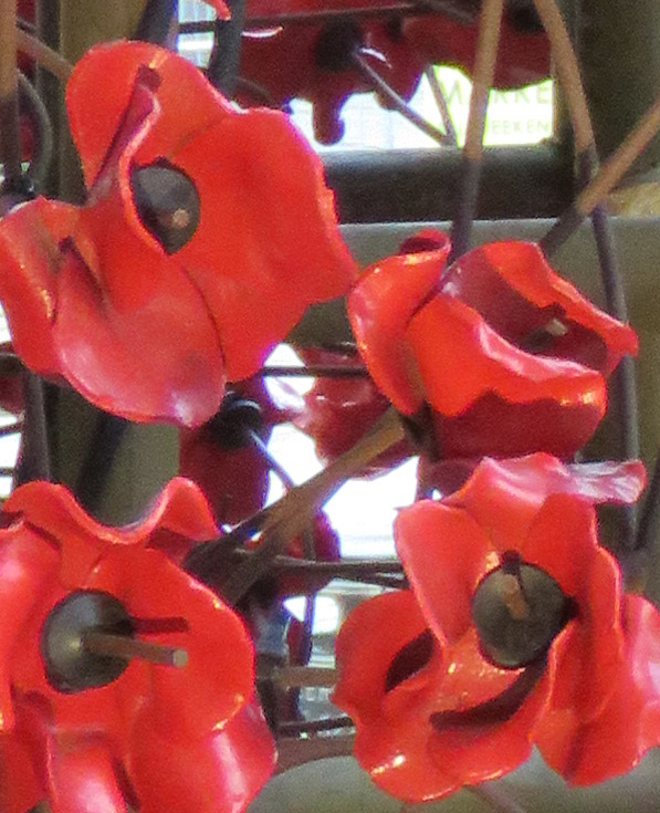 poppies