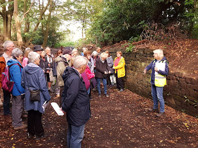 ChildwallWoodswalk 10