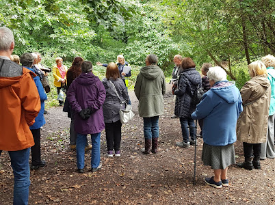 ChildwallWoodswalk 2