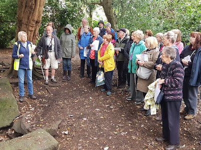 ChildwallWoodswalk 4