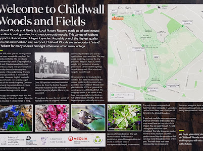 ChildwallWoodswalk 7