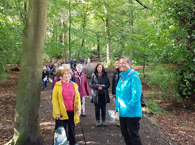 ChildwallWoodswalk 8